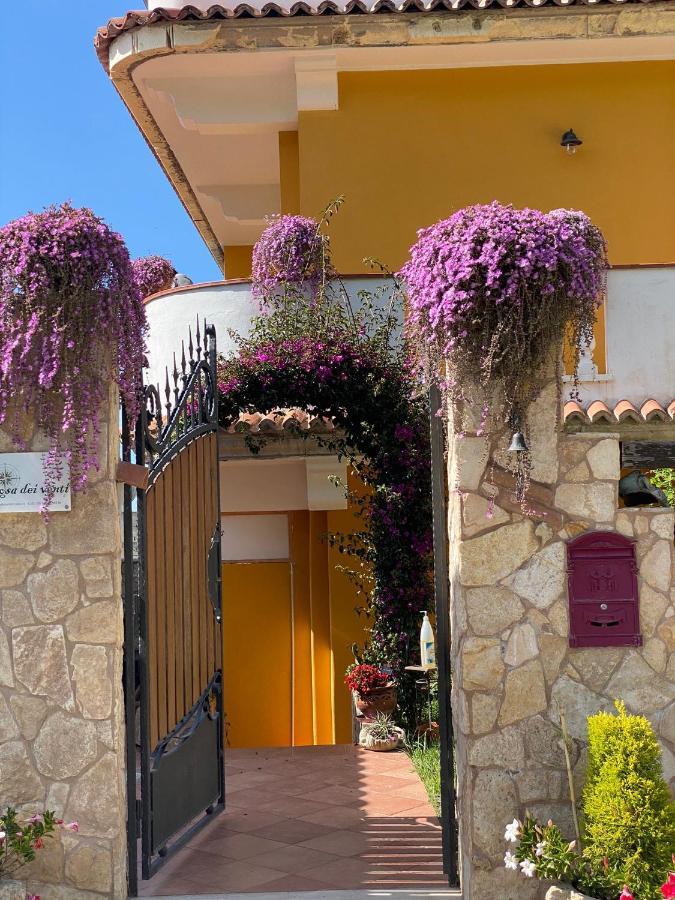Rosa Dei Venti Accomodation Tropea Eksteriør billede